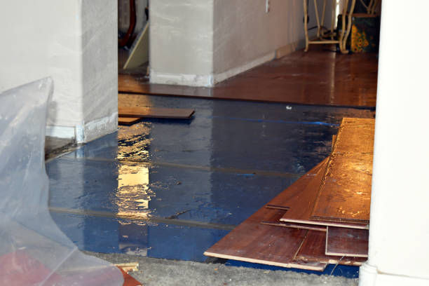 Professional Water Damage Restoration technician working in Bryan, OH